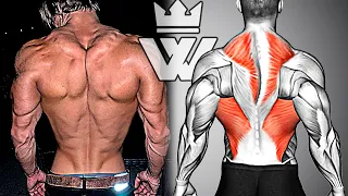 How To Build Your BACK Fast (10 Exercises for Massive Back)