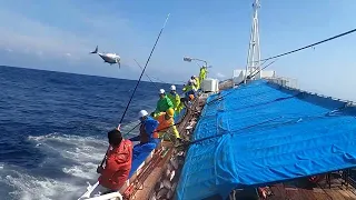 カツオ一本釣り パヤオ操業