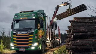 Hauling 76-tonne timber transports with the new 770-hp Scania V8