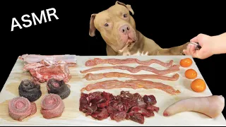 ASMR MUKBANG Pitbull Eating Raw Foods Sheep spine Ribs Chicken Horse Kumquat Beef Tongue