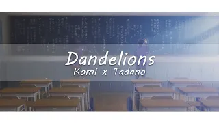 komi x tadano - dandelions ♥