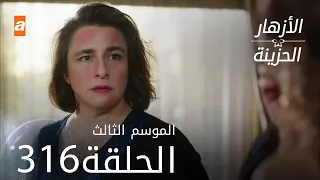 مسلسل الأزهار الحزينة | الحلقة 316 - الموسم الثالث