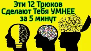 Эти 12 способов помогут быстро поумнеть и прокачать мозг – Как стать умным за 5 минут и креативным