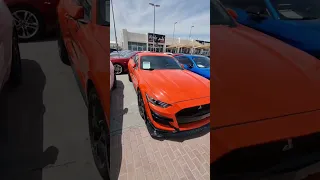 Affordable Mustangs #Dubai