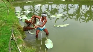 Unique cast net fishing। Amazing boy catching fish by cast net in pond (part-26)