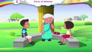 Learn Grade 3 - Science - Parts of Animals