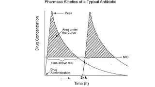 Antibiotic Therapy Part 1 Avoid Misuse, Know Basic Pharmacokinetics, Beware of Allergies