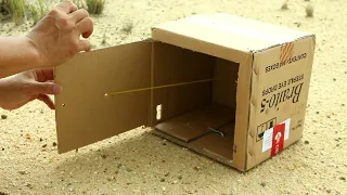 Creative Life Hack : DIY Pigeon Bird Trap with Cardboard Box