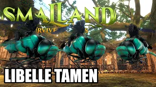 Libelle tamen + Geheime Map 🌿 Smalland: Survive the Wilds #14 🌿 Survival Guide | Lets Play Deutsch