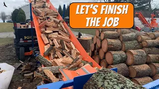 SPLITTING BEAUTIFUL CHERRY FIREWOOD - #197