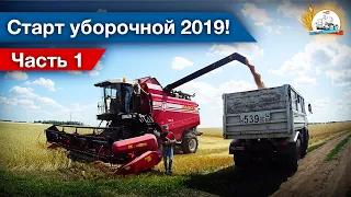 Пшеница подошла - В БОЙ! На Палессе-10 начинаем уборку 2019 года!