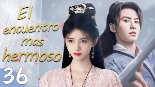 【Doblado Español】🥰🥰 El encuentro mas hermoso 🥰🥰 Ep36