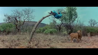 The Gods Must Be Crazy 1984 Movie funny Lion scene