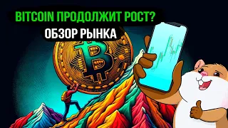 Торговая стратегия по BTC на ближайшее время. Обзор рынка и сетапы по альтам