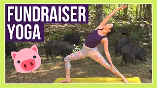 Full Body Yoga Flow 🐷 ANIMAL SANCTUARY FUNDRAISER