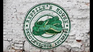 Дом Рептилий | Reptile's House - экзотическое антикафе и зоомагазин