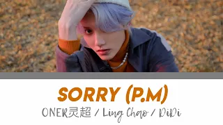 ONER Didi (灵超) - Sorry (P.M) Lyrics