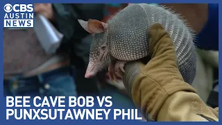 Texas armadillo challenges Punxsutawney Phil