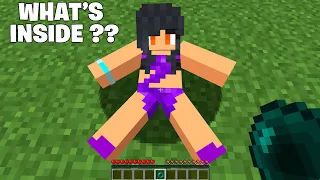 What’s inside Aphmau's ?