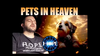 Messages From Pets In Heaven| They Speak On Spirit Box