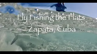 FLY FISHING the FLATS - ZAPATA CUBA - Full Movie