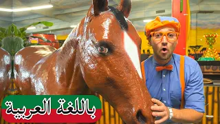 بليبي يزور مركز علوم المحيط الهادئ | برامج للصغار | ليتل بيبي بام | Blippi Explores Jungle Animals