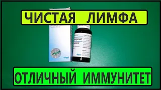 Чистая Лимфа - Отличный Иммунитет. Как Разогнать Лимфу. Застой Лимфы, Снимаем Отёки.