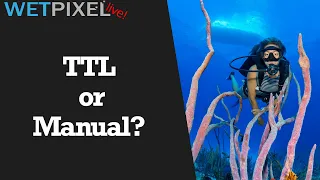 TTL or Manual? Guidance on how to trigger your strobes for Underwater Photography