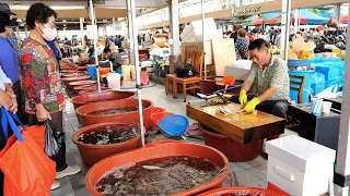 Korean Market Fish Cutting Master ! | Korean Street Food