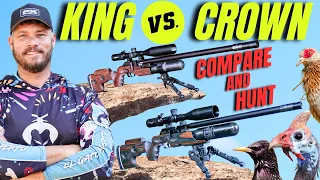 FX KING V.S FX CROWN I AIRGUN HUNT AND COMPARE I PEST CONTROL WITH AIRGUN HUNTING