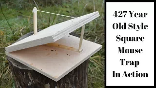 427 Year Old Style Square Mouse Trap In Action.