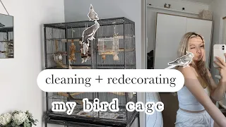 CLEANING + REDECORATING BIRD CAGE | what's in my cockatiels cage?