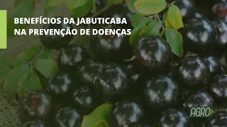 Estudo da Unicamp revela potencial da casca da fruta