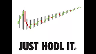 Crypto Tripp -  Hodl