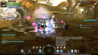Crusader Burst Damage Golden Meadow (Chaos) Solo Player
