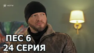 Сериал ПЕС 6 - 6 сезон - 24 серия