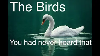 The Birds | You had never heard that