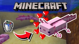 Como domar um axolote no Minecraft #shorts