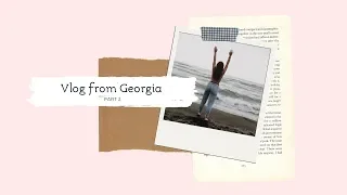 Нападения коров🐮/ Влог из Грузии #2