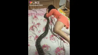 girl sleeps with python funny moment😂