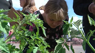 Pilot program brings the farm to school to teach students about nutrition, gardening