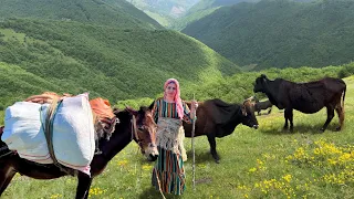 Taking Cows to the Yaylag (Grassland) through the Rivers and Mountains