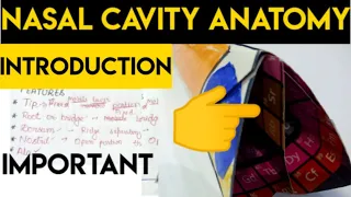 Nasal cavity||nose Anatomy||