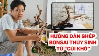 Hướng dẫn ghép lũa bonsai thủy sinh đẹp từ củi khô - Quoidecor