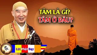 Tâm là gì? Tâm ở đâu? Ân Sư Tịnh Không