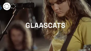 Glaascats: Foucoupe session
