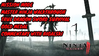 Ninja Gaiden 2 - Survival Mode - True Dragon Sword Gold Medal Guide