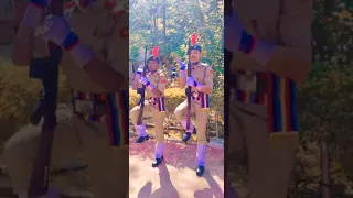 dam hai boos ncc ka #ncc #shortvideo #whatsappstatus #indianarmy #ncc #mirzapur 🙏 #viral #shorts