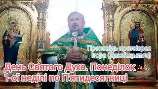 День Святого Духа. Понеділок 1-ої неділі по П'ятидесятниці. Проповідь про Святого Духа. 05.06.2023