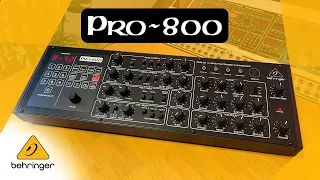 Behringer PRO 800,  8 Voice poly synth, no talking   sounds only